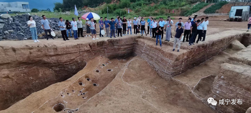 大湖咀遗址最新进展！全国知名考古学家齐聚赤壁