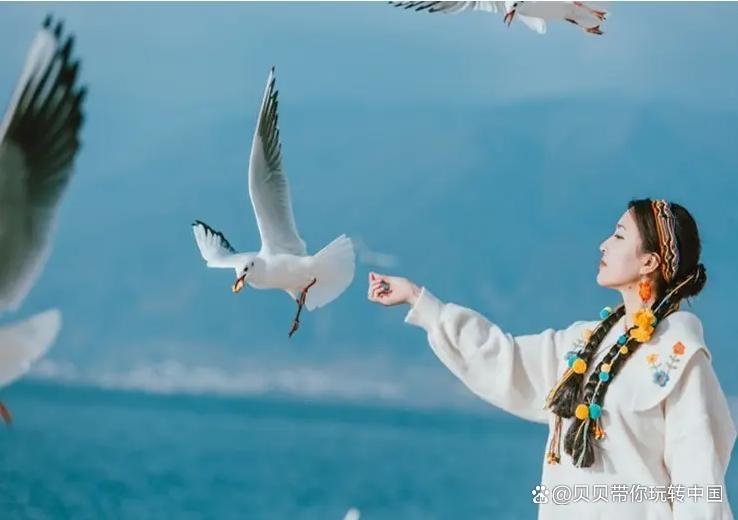 云南丽江旅游攻略及费用，丽江古城有哪些景点，看完少花冤枉钱-丽江古城必去的几个景点图