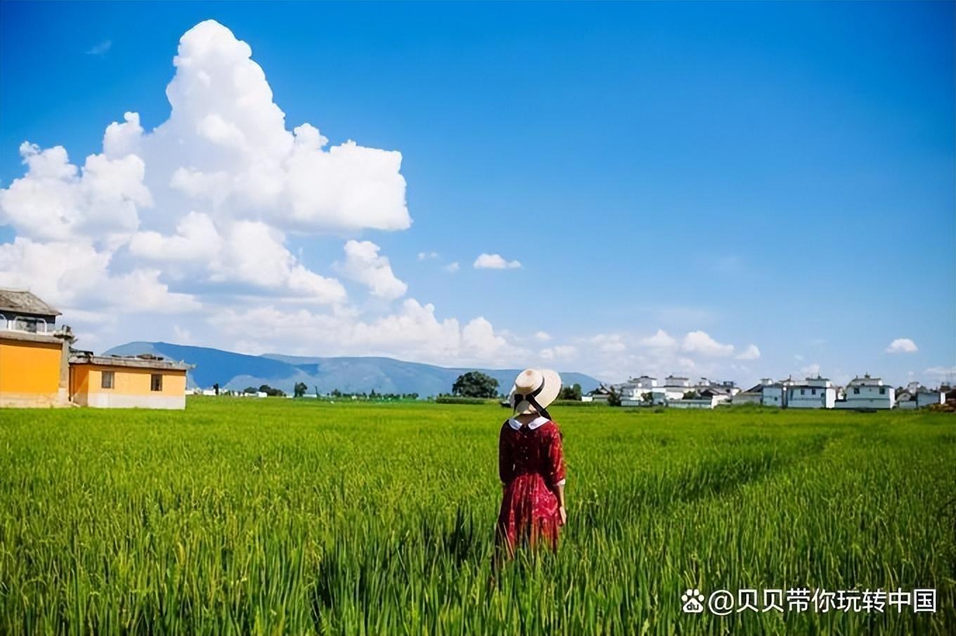 云南丽江旅游攻略及费用，丽江古城有哪些景点，看完少花冤枉钱-丽江古城必去的几个景点图