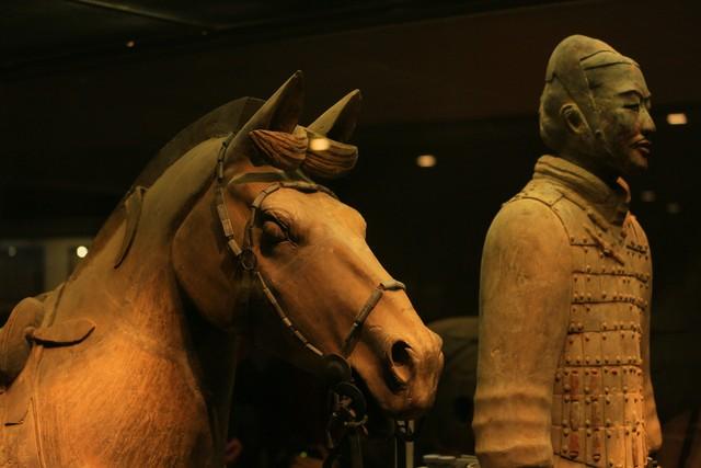 西安兵马俑：历史的瑰宝-秦始皇陵兵马俑作文500字