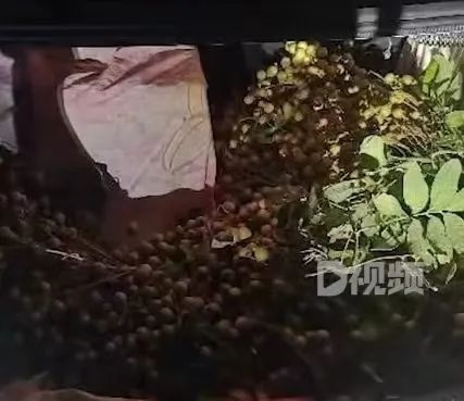 【法治热点早知道】网传多名游客在兵马俑景区互殴？警方通报-兵马俑游客合照图片