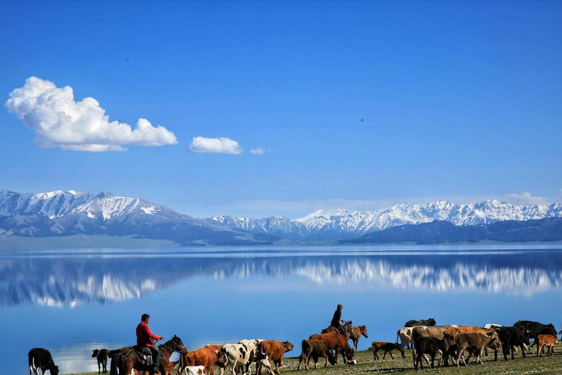 来新疆赛里木湖旅游到底是什么样的体验-新疆赛里木湖旅游攻略详细