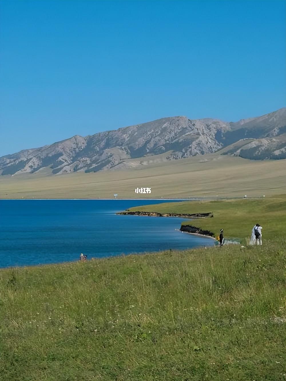 新疆赛里木湖，为何没有原生鱼，到底是什么原因呢-赛里木湖里的鱼叫什么名字