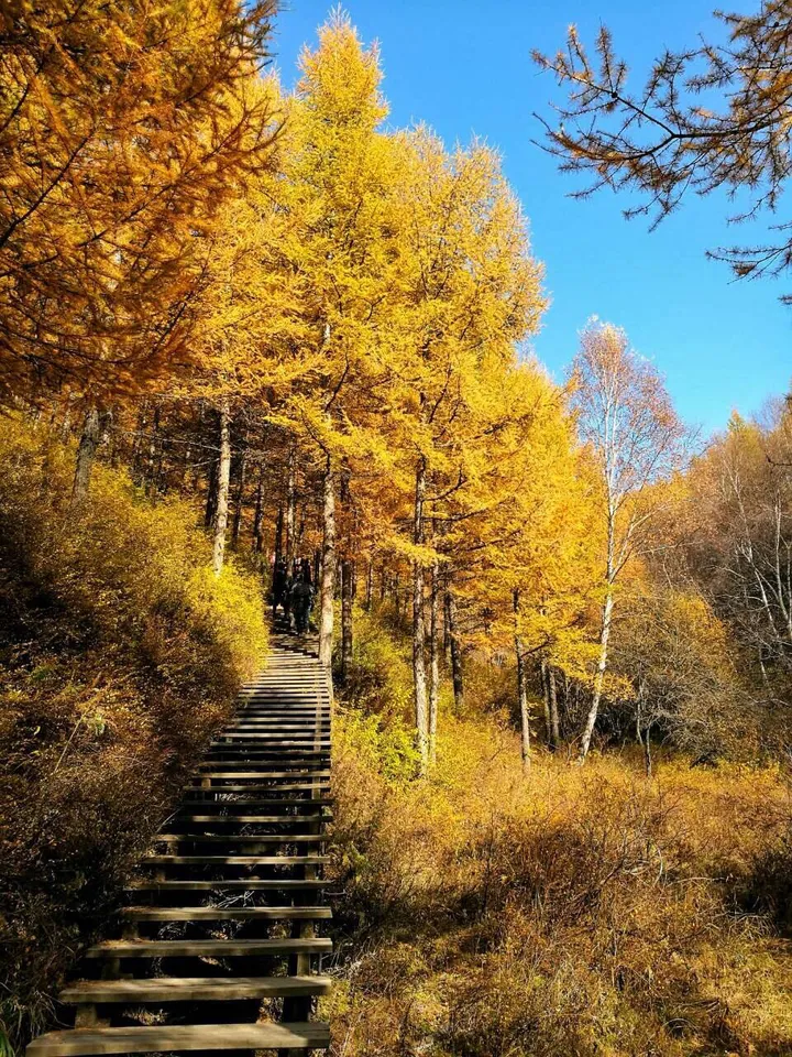 去内蒙古旅游有哪些好玩的地方可以推荐？-去内蒙古旅游哪里好玩