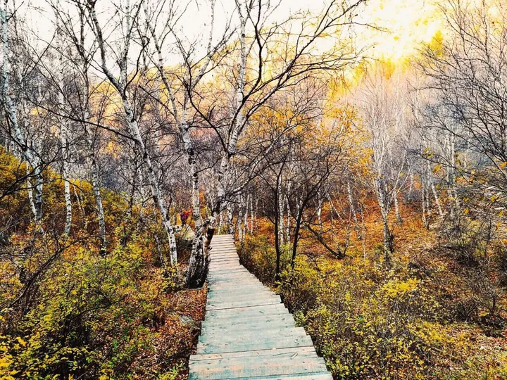 去内蒙古旅游有哪些好玩的地方可以推荐？-去内蒙古旅游哪里好玩