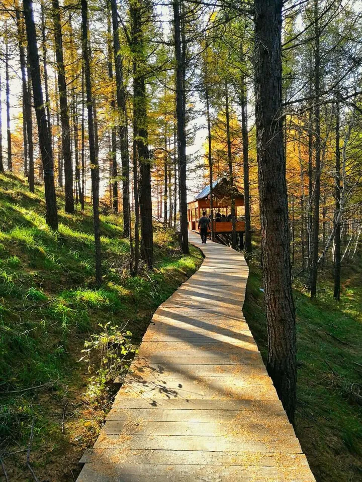 去内蒙古旅游有哪些好玩的地方可以推荐？-去内蒙古旅游哪里好玩