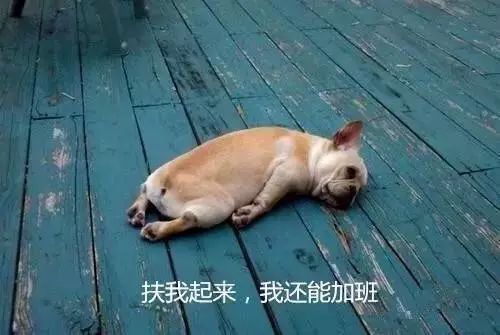 风靡日本乃至世界的胶囊旅馆，为何在中国却难以推广？-日本胶囊旅馆行李放哪