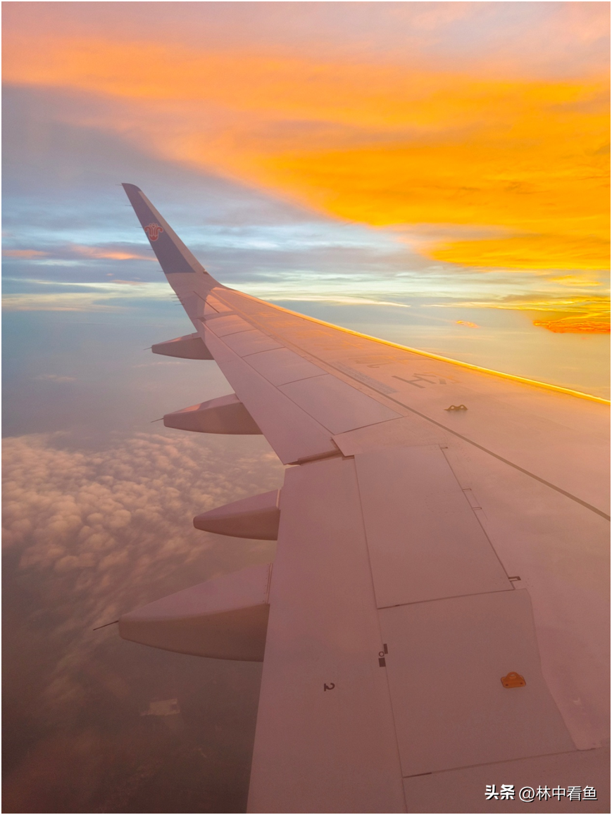 海南三亚自由行一天一夜全攻略—附加一个追光者的故事-三亚纯玩一日游