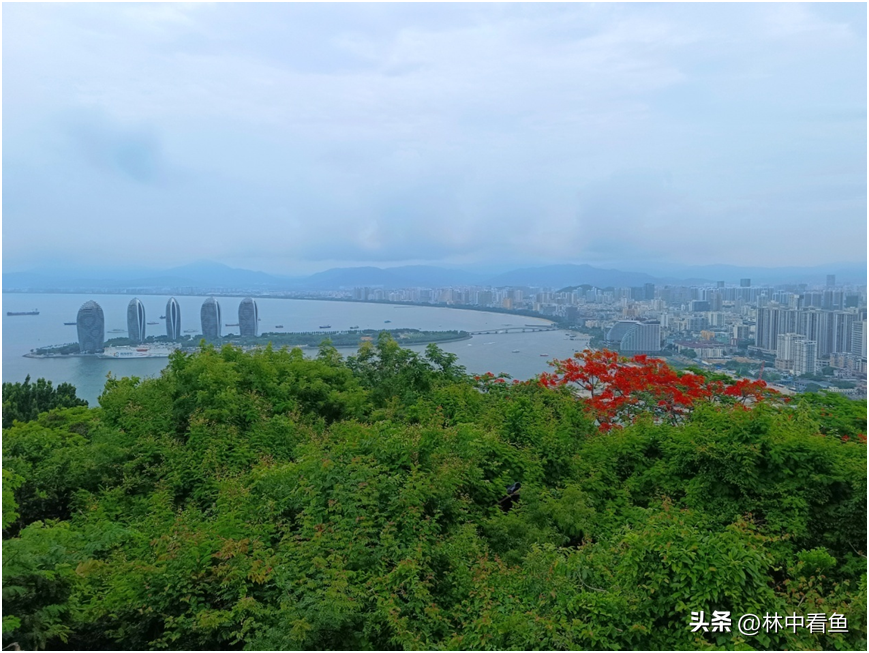 海南三亚自由行一天一夜全攻略—附加一个追光者的故事-三亚纯玩一日游