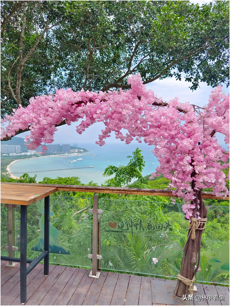 海南三亚自由行一天一夜全攻略—附加一个追光者的故事-三亚纯玩一日游