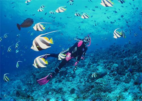 三亚——旅游胜地的攻略来了！-三亚旅游攻略大全