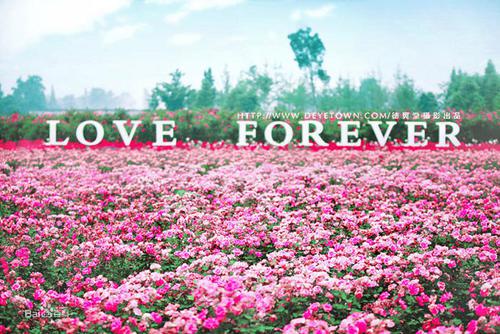 三亚——旅游胜地的攻略来了！-三亚旅游攻略大全