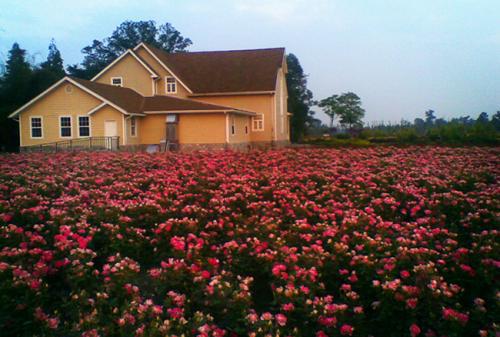 三亚——旅游胜地的攻略来了！-三亚旅游攻略大全