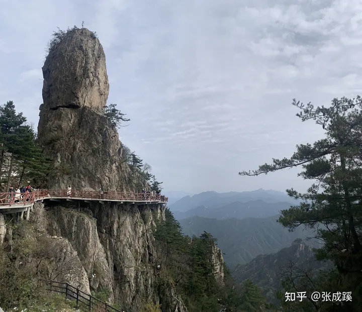 老君山是哪里？-老君山是哪里的山