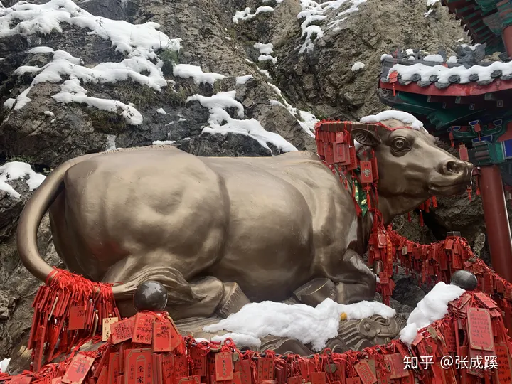 老君山是哪里？-老君山是哪里的山