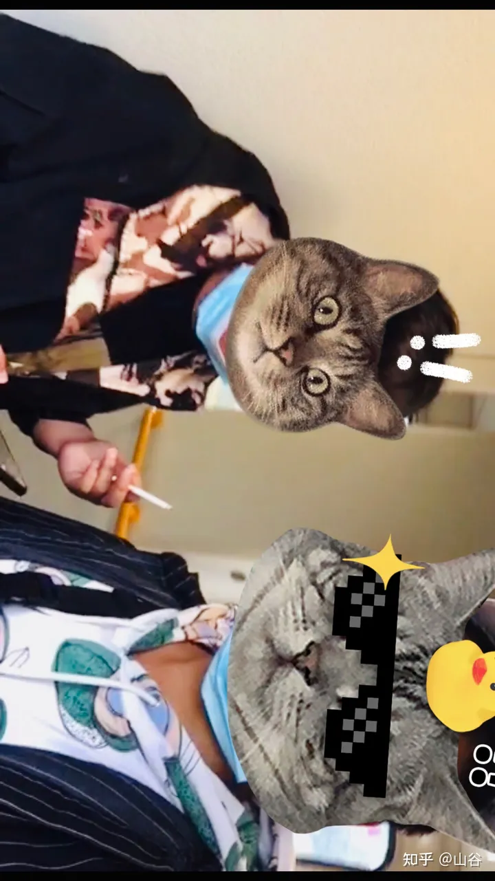 洛阳市老君山攻略 怎么玩 详情 ？ ?-洛阳老君山多少钱门票