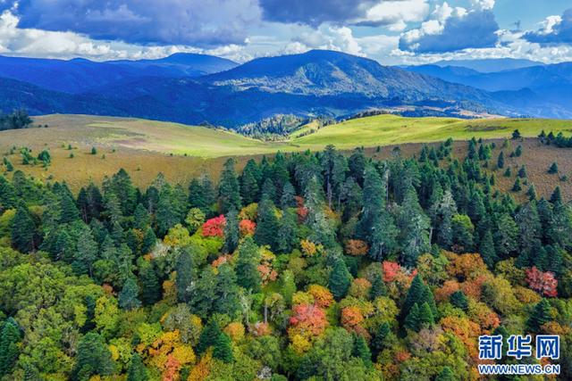 新增美景打卡地！云南丽江老君山格拉丹景区开园-云南100个最美观景拍摄点