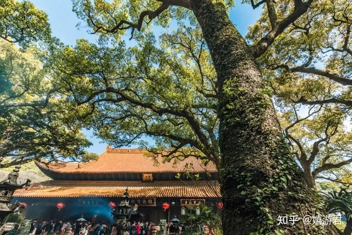 普陀山旅游攻略都有哪些？-普陀山旅游攻略都有哪些地方