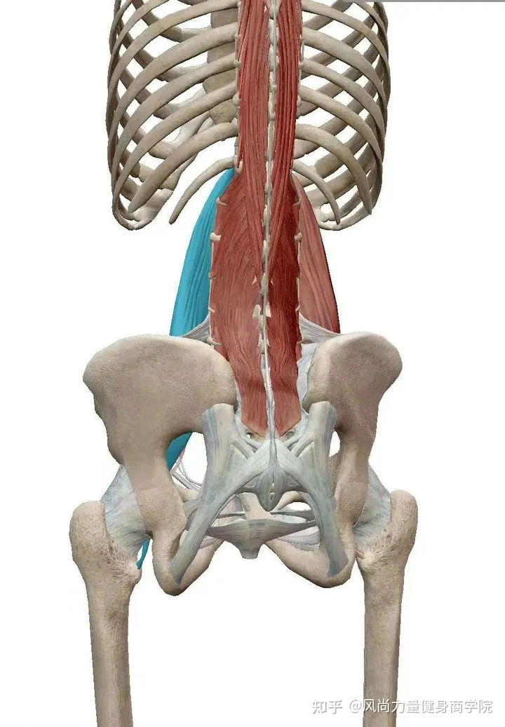部队训练椎间盘突出解决方案-腰间盘突出军训会怎么样