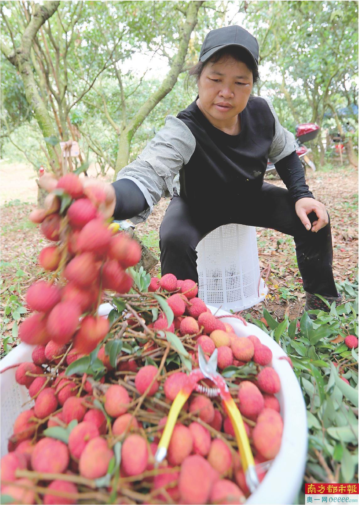 2所高校组团式结对1个县 加快推动校地合作基地建设-校地合作仪式