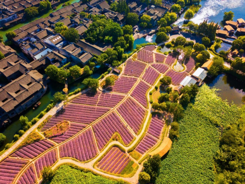 乌镇金秋时节国庆游全攻略请收好-乌镇春节旅游攻略