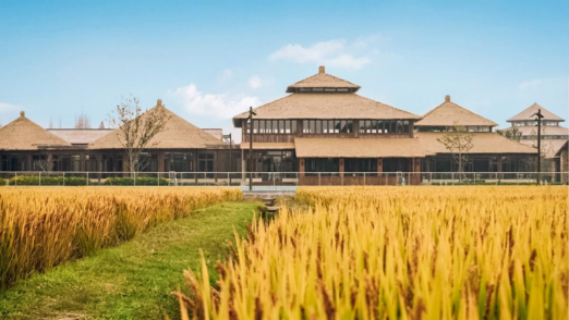 乌镇金秋时节国庆游全攻略请收好-乌镇春节旅游攻略