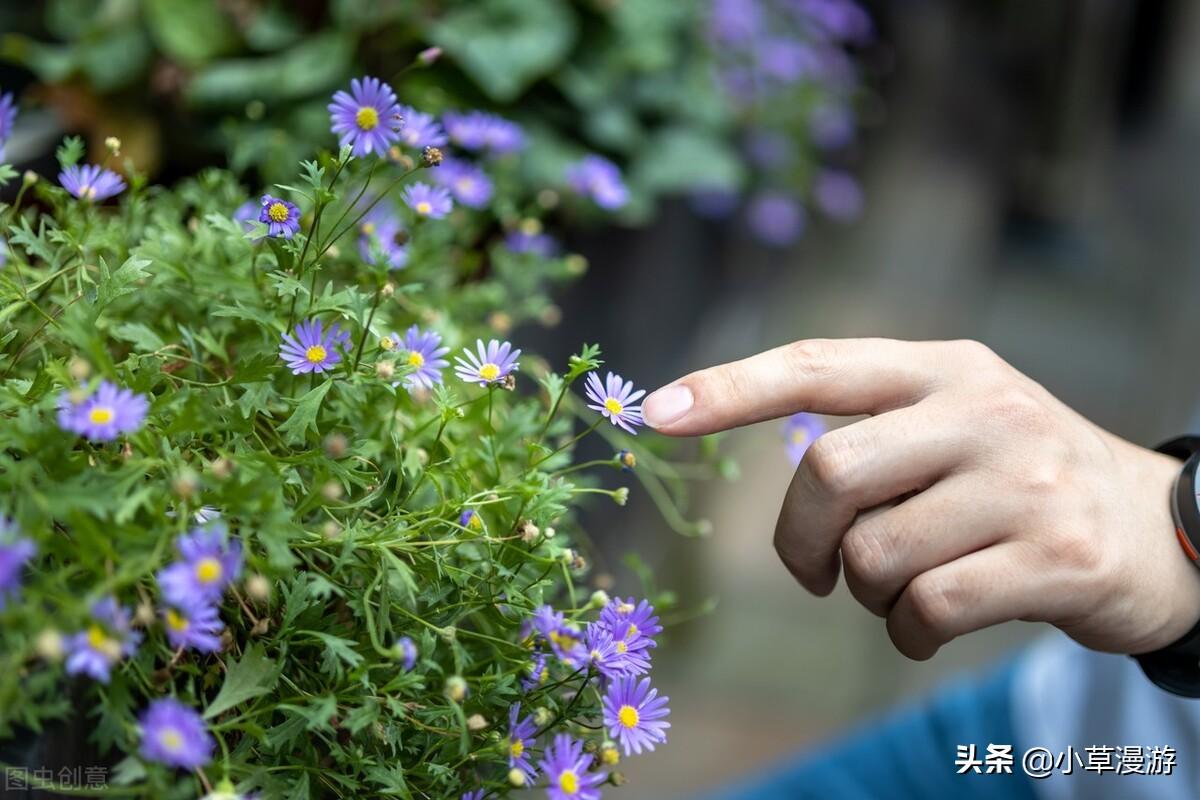 旅行攻略 | 乌镇自由行全攻略 旅游景区介绍 美食分享-热乎乎的乌镇旅游攻略,希望对大家有所帮助!