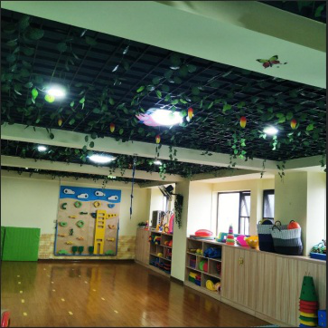 感统训练前景可期 将成教育行业新星-感统训练有啥用