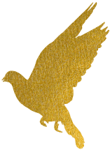 周末儿童博物馆｜精彩纷呈的“周末儿童博物馆·暑期季”来陪孩子们度假啦！-儿童博物馆要门票吗