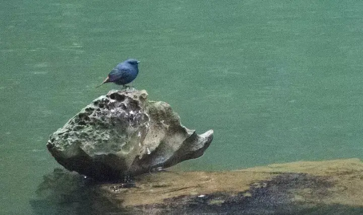 第一次来重庆怎么玩？3天2晚全攻略来了，必打卡&不踩雷，收藏！-重庆怎么玩好玩