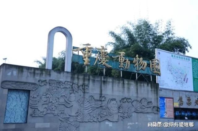 重庆三天两夜的旅游攻略，去重庆游玩的朋友看完就不用去找攻略了-重庆三天两晚攻略