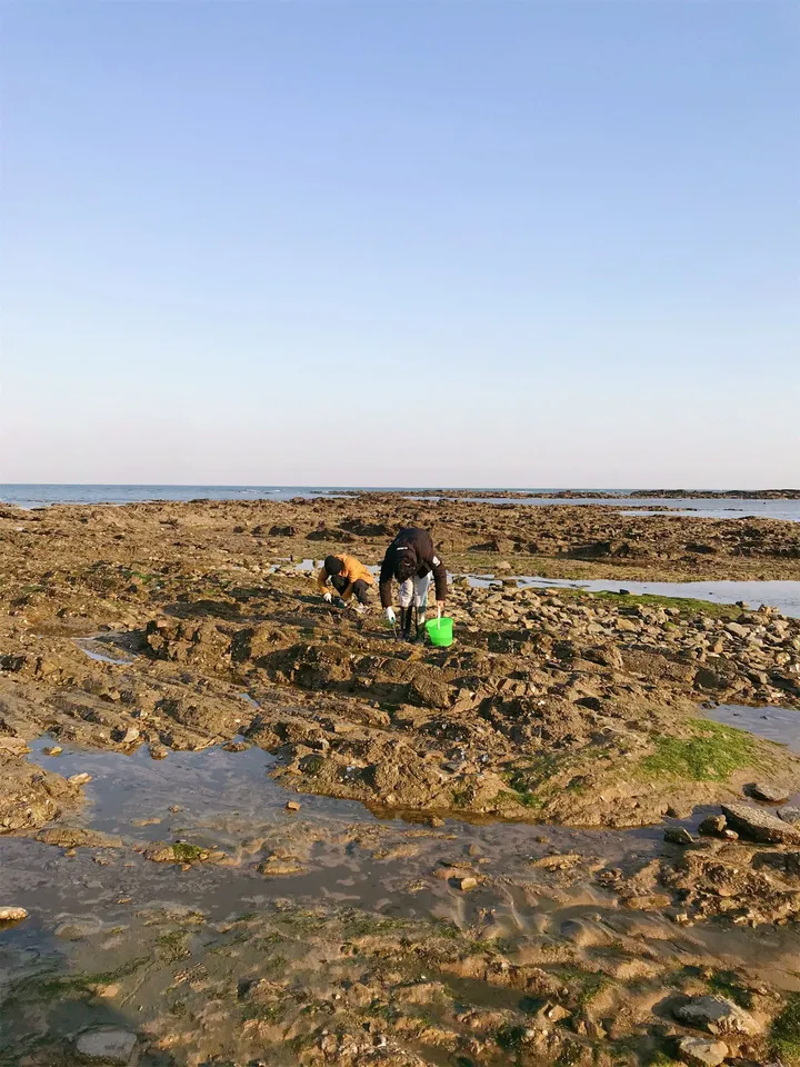 日照旅游，各大景区攻略，必玩景点-日照旅游攻略必玩的景点和门票