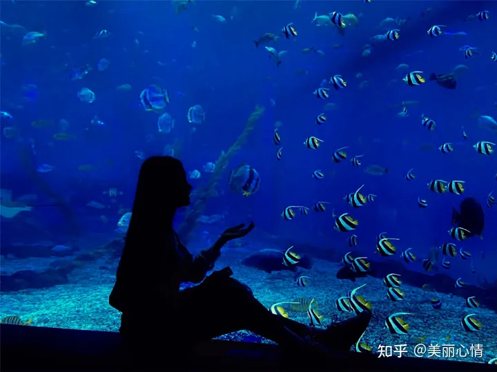 日照游玩去哪里，以下四处经典的必打卡地，来玩就对了-日照玩的几个地方好玩