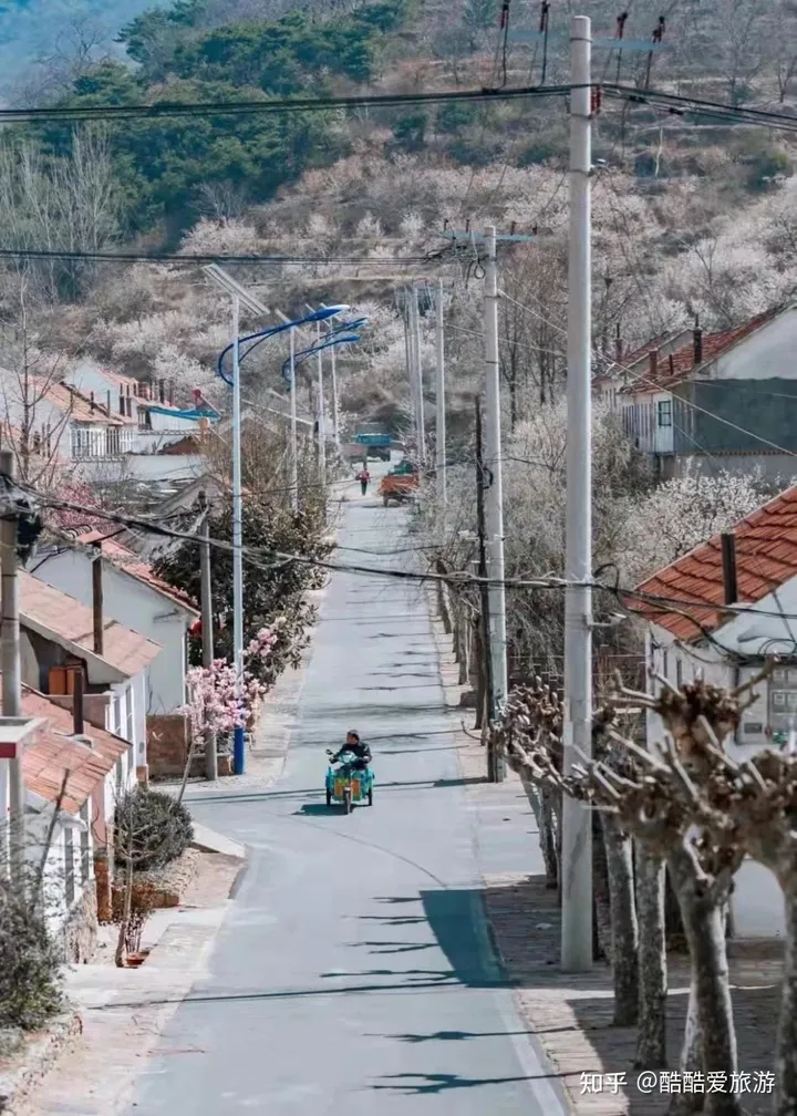 日照旅行必去景点攻略-日照旅行必去景点攻略图