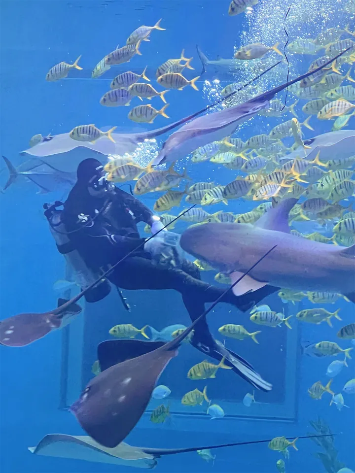 日照旅游攻略～来日照必打卡的27个地方！-日照值得去的旅游景点