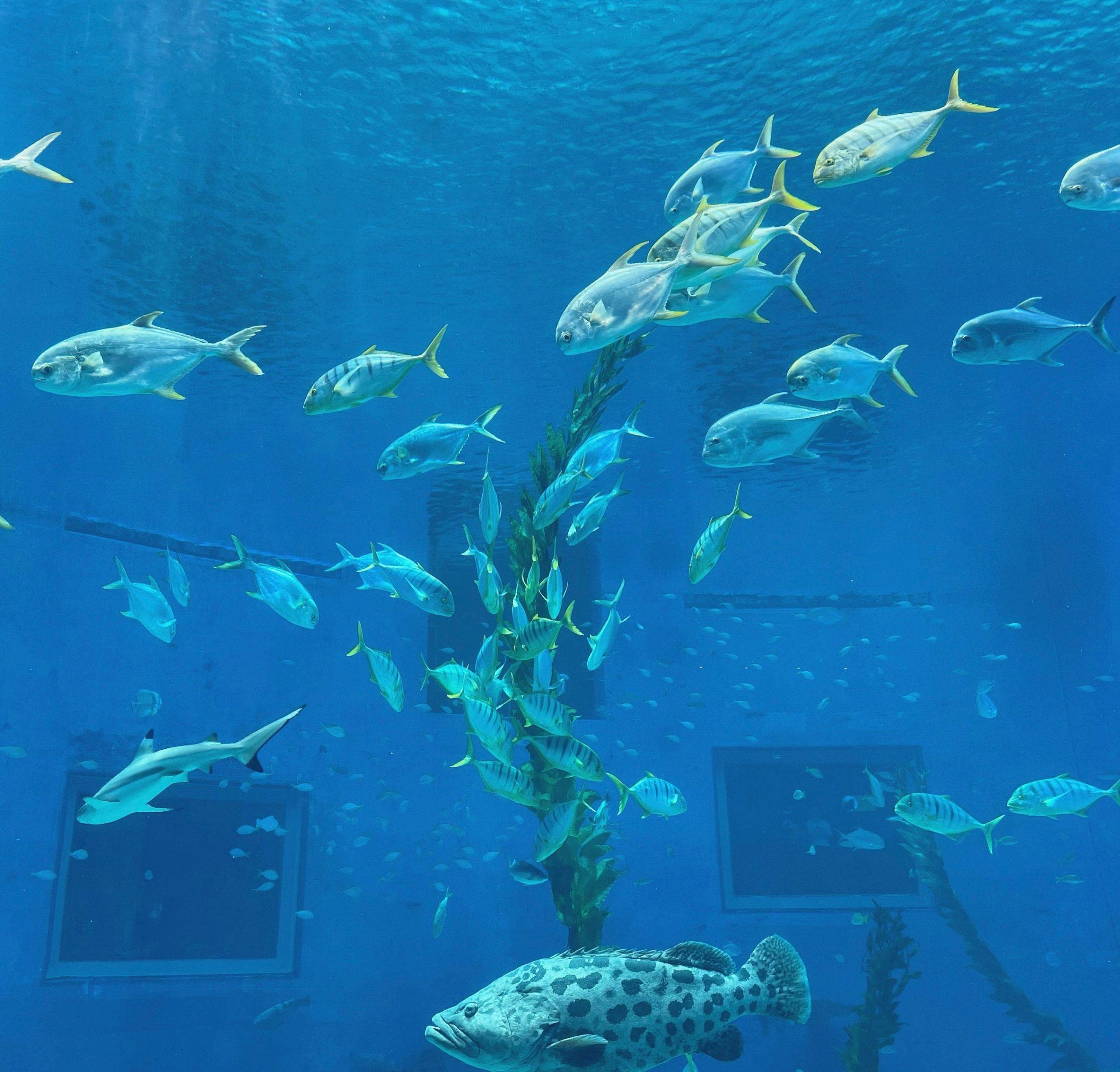 日照攻略游客必去七大景点，超全攻略-日照必玩景点攻略