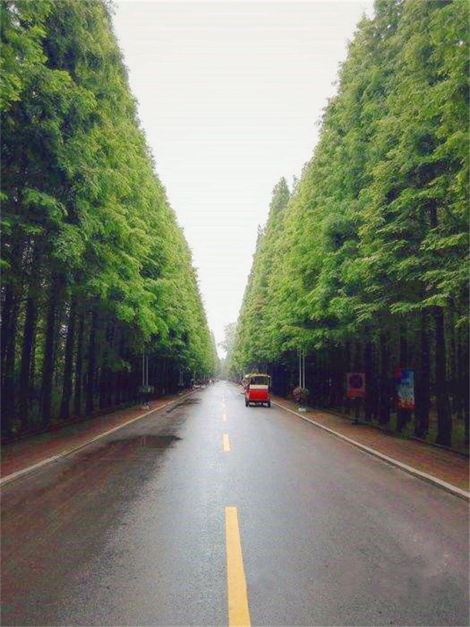 日照攻略游客必去七大景点，超全攻略-日照必玩景点攻略