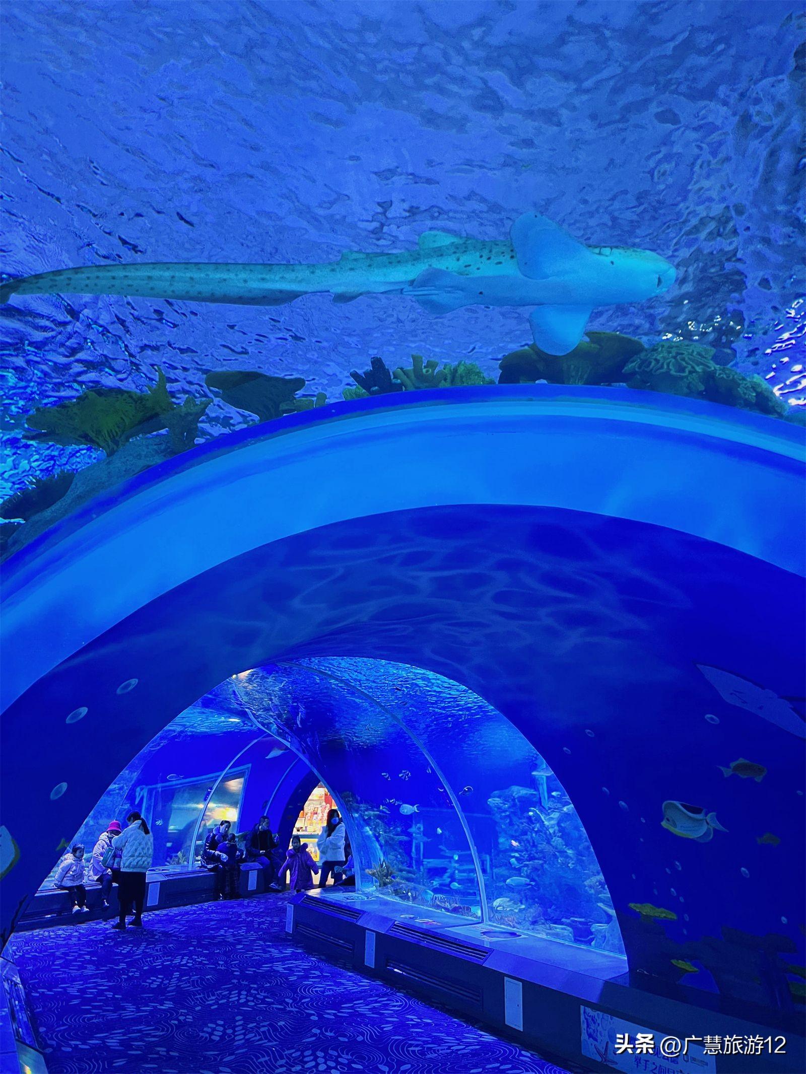 日照旅游，来日照必去的四大景点-日照旅游必去十大景点简介