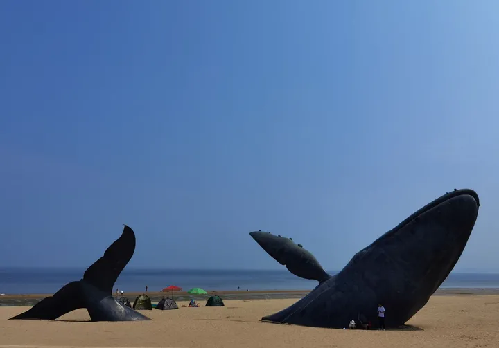 烟台有哪些必去的景点？-烟台的十大景点