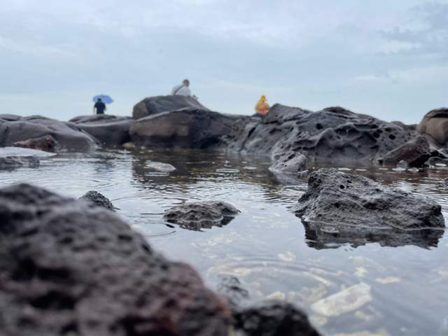 充满惊喜的宝藏旅游城市渤海明珠烟台龙口一日游攻略-烟台龙口好玩的