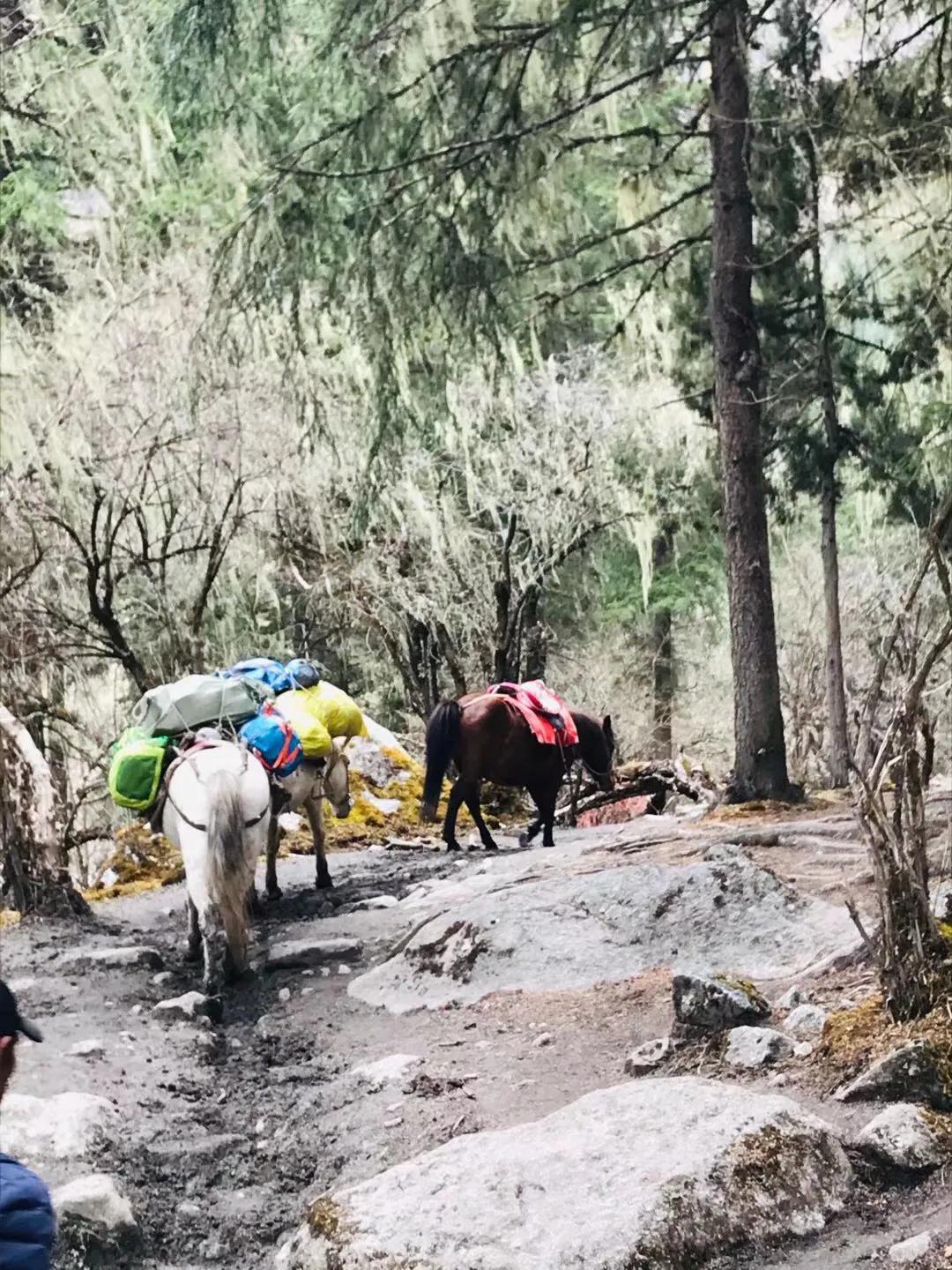 成都后花园：四姑娘山-成都去四姑娘山怎么走攻略
