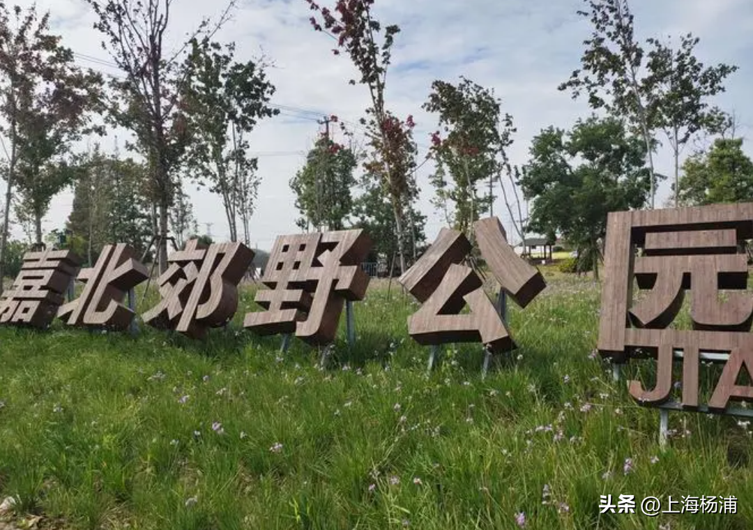 收藏！你要找的露营地都在这→-泸定露营推荐