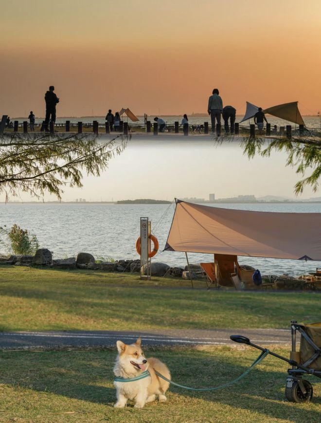 露营指南 | 100+露营地，遍布江浙沪，快收藏这个周末就出发-露营适合去哪个地方