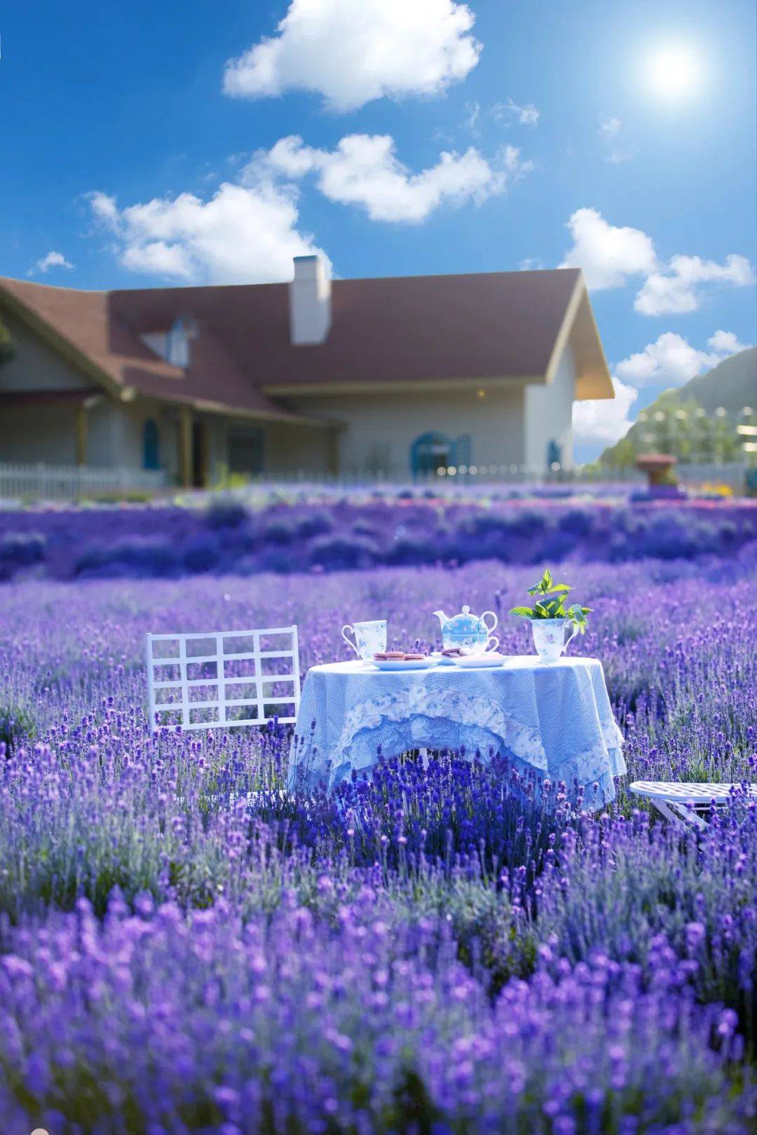 顶配露营地，松弛每个感官-森邱露营地物语