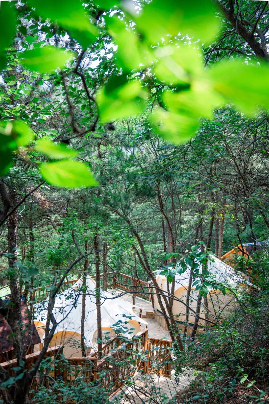 顶配露营地，松弛每个感官-森邱露营地物语