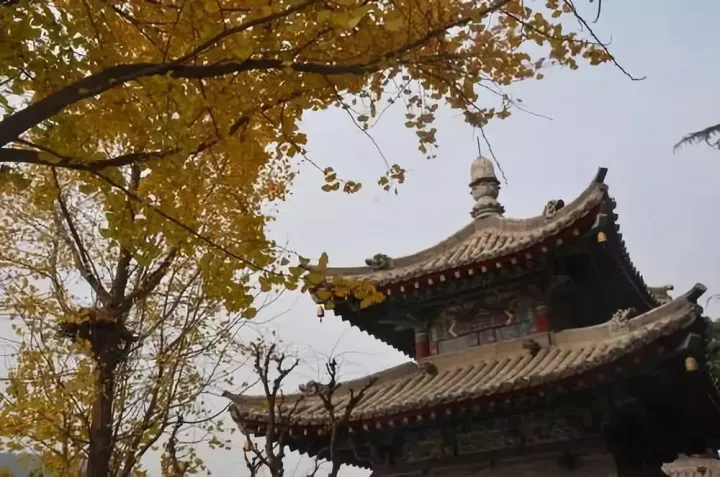 龙门石窟，不朽的民族瑰宝-讲解一下龙门石窟