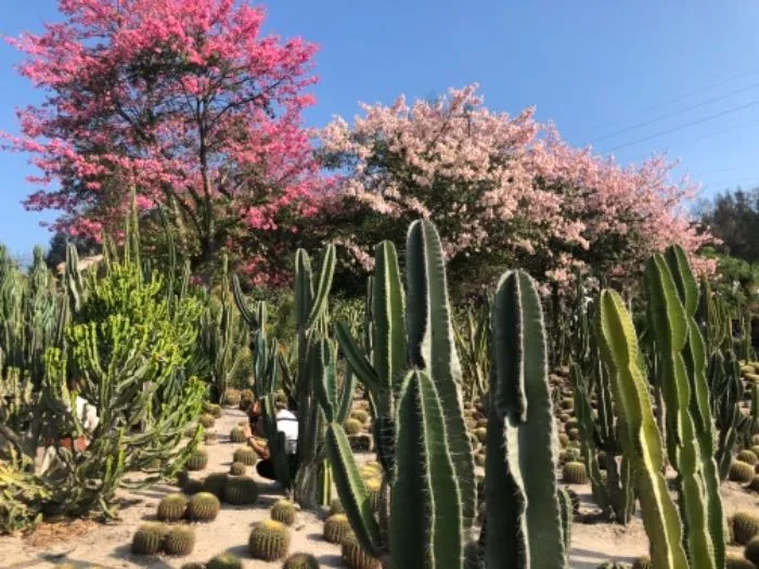 知乎上最全的厦门攻略：吃住行完保姆级攻略！三日游1200元搞定！五一就去这儿了！-厦门攻略自由行及路线