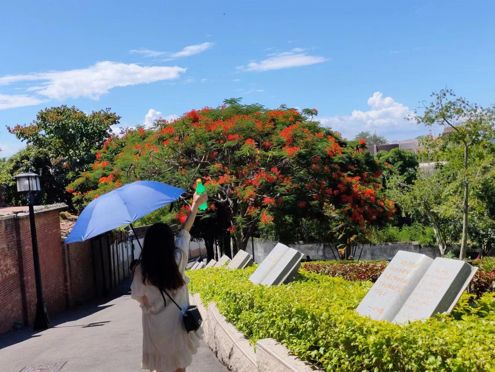 第一次来厦门旅游不要慌‼️来看旅游攻略-第一次来厦门旅游免费攻略