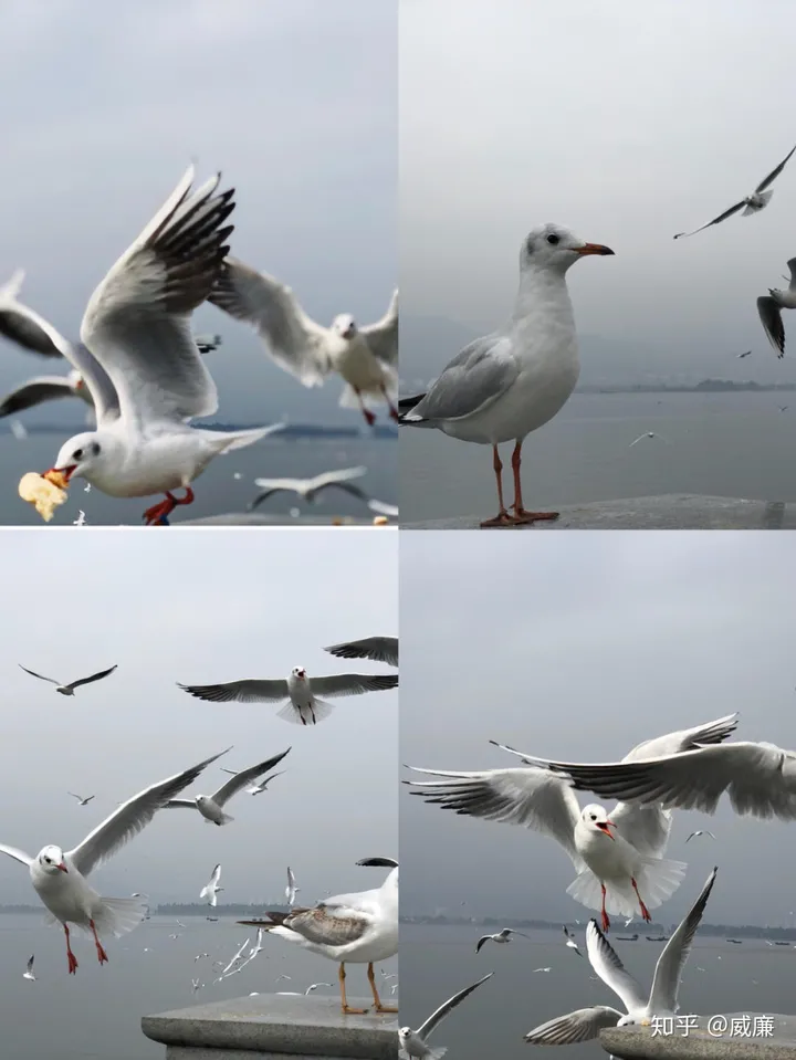 昆明三天自助游攻略，昆明有哪些旅游景点比较好玩-昆明三天自驾游攻略
