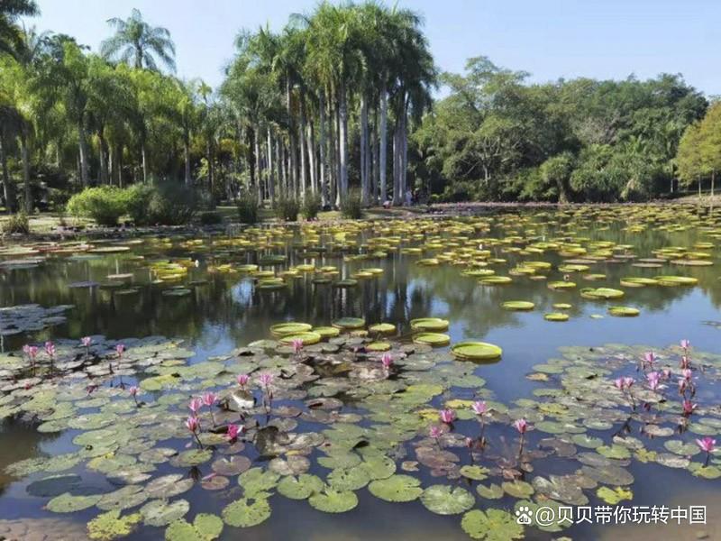 云南自由行最佳路线，六天五晚精华景点攻略-云南自驾游4天攻略